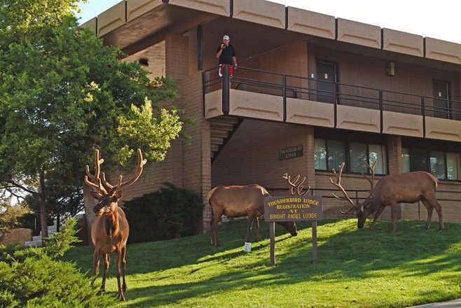 Kachina Lodge 大峡谷 外观 照片